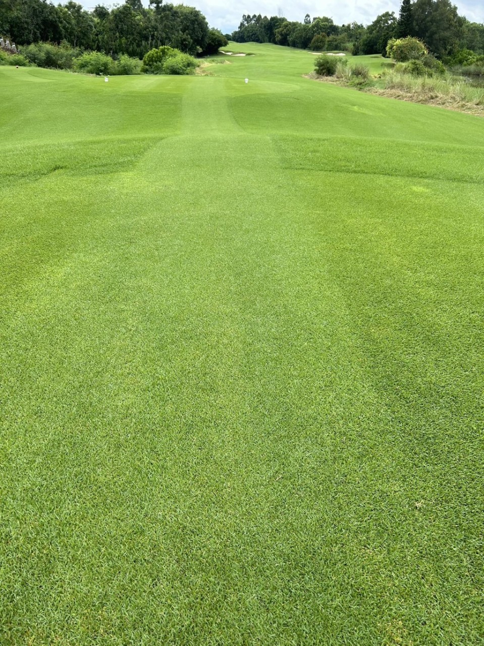 해구 고염전 골프 여행 패키지